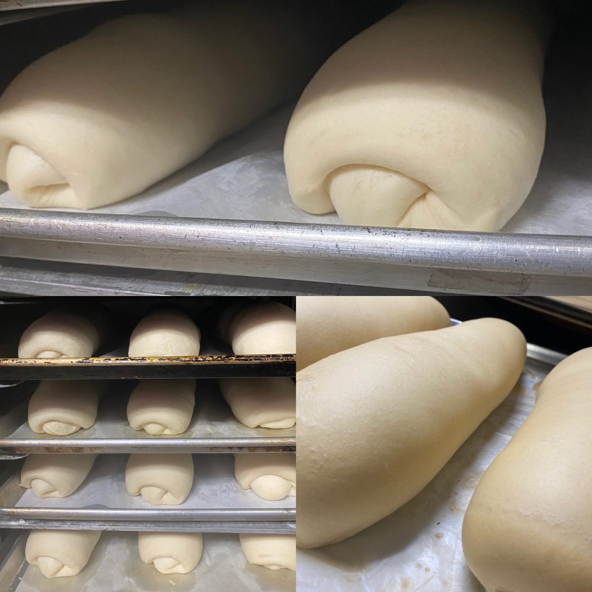 Hand-Shaped. Oven-Fresh. Daily.